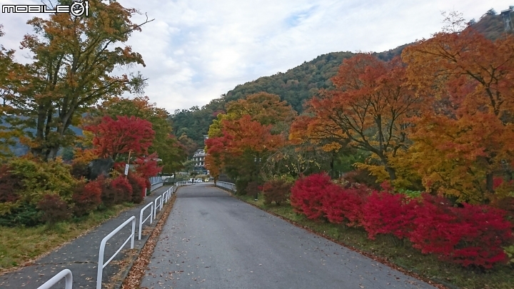 一生中有幾次可以說走就走的海外單車旅遊→富士五湖