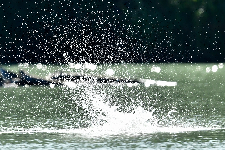 Nikon 600mm F4E手持5公斤拍攝的開箱文(特別北上新店灣潭拍魚鷹)