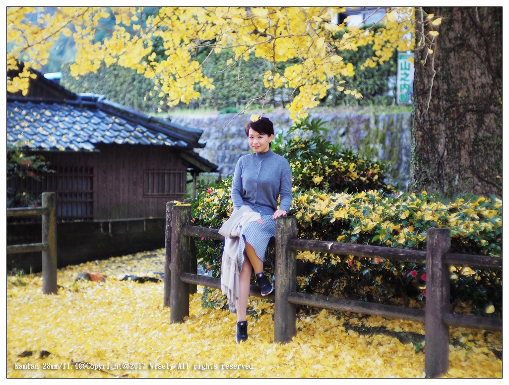 Kamlan手動鏡(Sony E／M43)實拍簡單分享