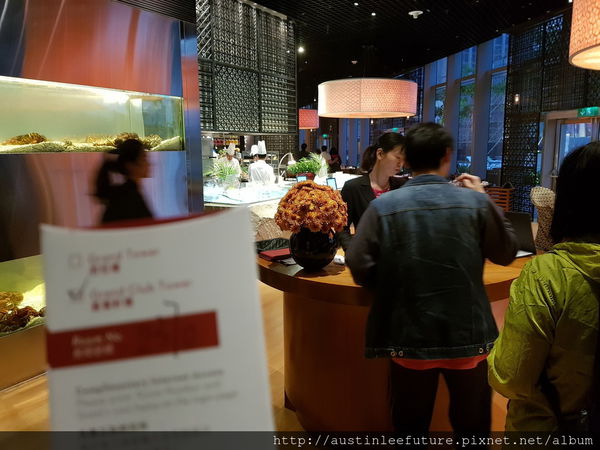 澳門君悅 mezza9 與廚共饗 龍蝦海鮮自選料理 自助晚餐