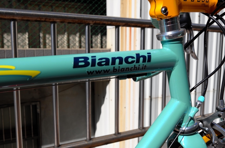 Bianchi Mega Pro XL Boron 緬懷爬坡之神Marco Pantani