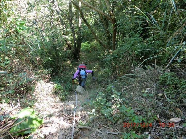 1061204 烏山 刣牛湖山(#70)登山健行