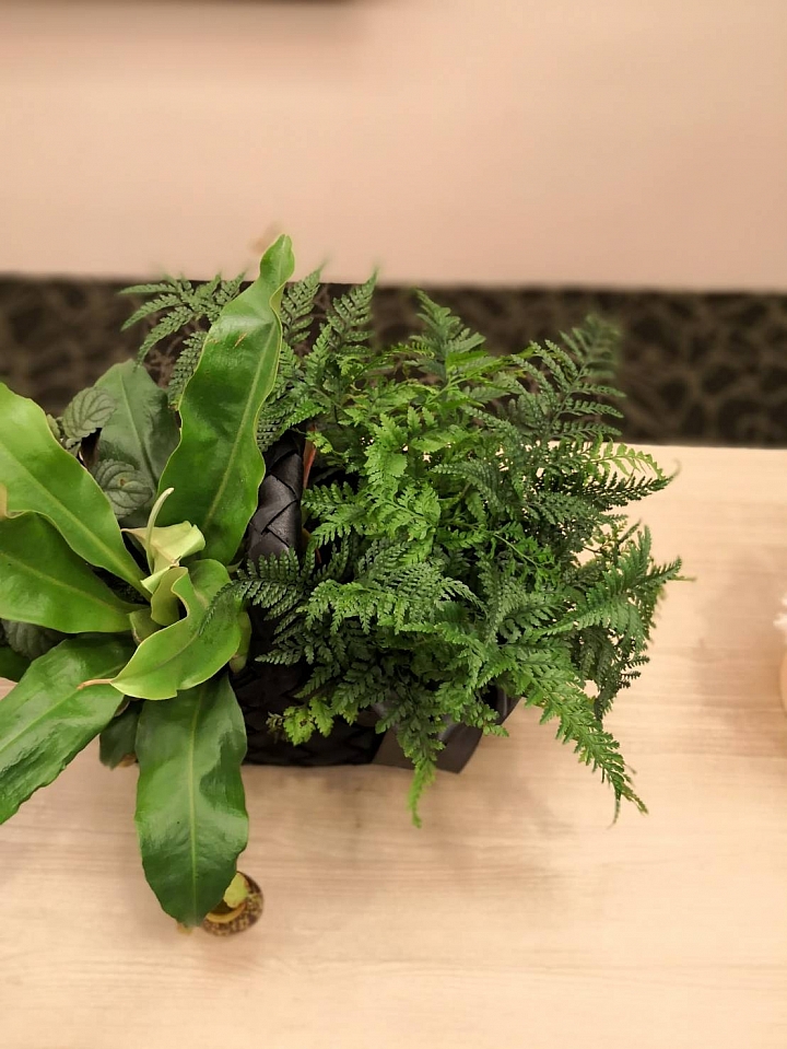 華為Mate 10系列，讓AI應用不再遙不可及【體驗會分享】