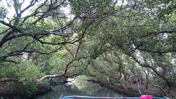 我和愛人的台南二天一夜之旅(20171119-20)