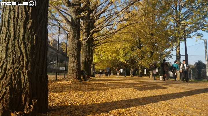 一生中有幾次可以說走就走的海外單車旅遊→富士五湖