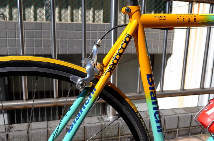 Bianchi Mega Pro XL Boron 緬懷爬坡之神Marco Pantani