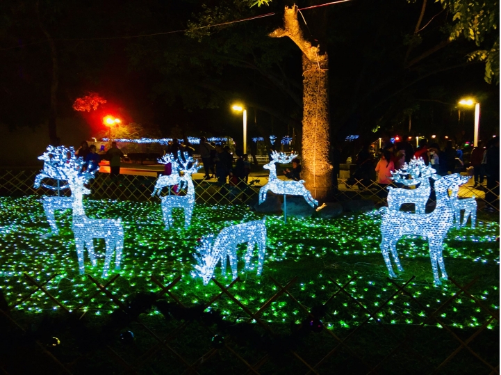 3sixty mini 夜遊屏東公園