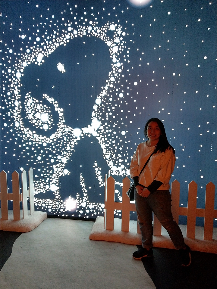 U11+遊香港必去的聖誕景點 （照片分享）