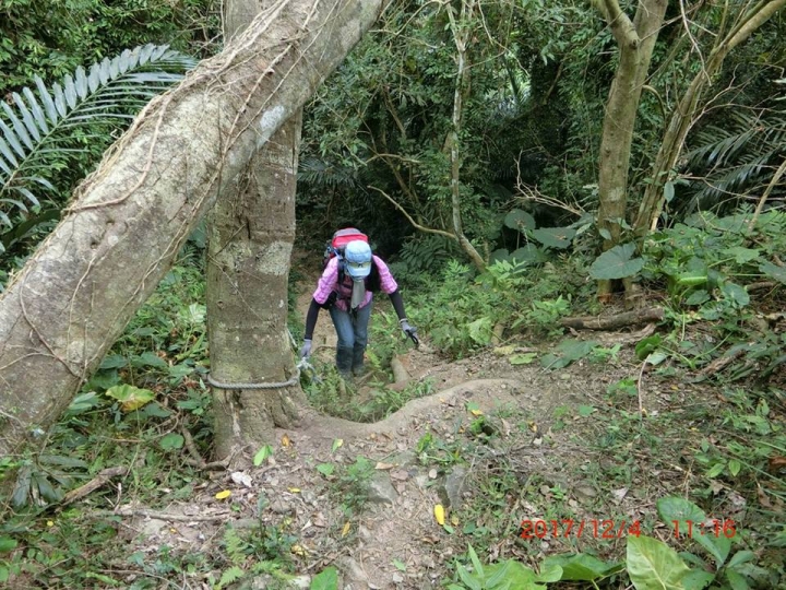 1061204 烏山 刣牛湖山(#70)登山健行
