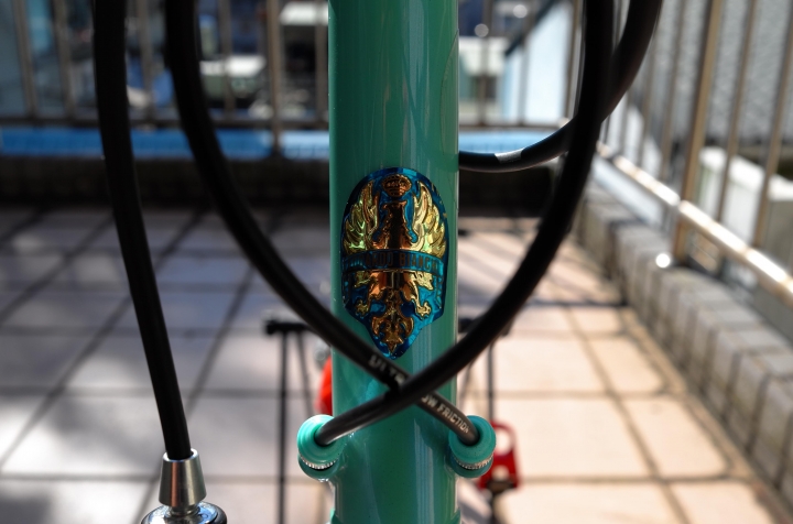 Bianchi Mega Pro XL Boron 緬懷爬坡之神Marco Pantani