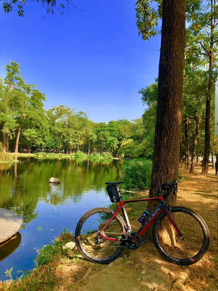 12/29忘憂清水一把青 屎在滾