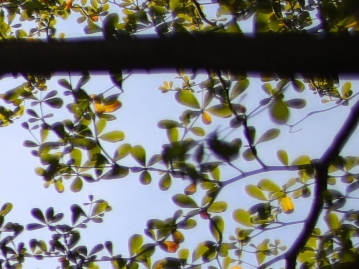 迷人的廣角大光圈之瞳！Zeiss Milvus 1.4/25 評測