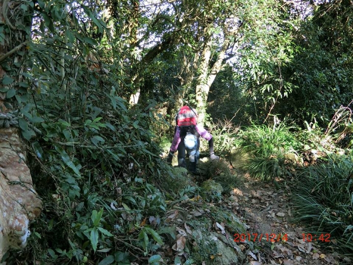 1061204 烏山 刣牛湖山(#70)登山健行