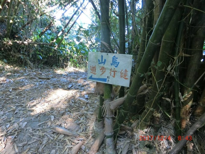 1061204 烏山 刣牛湖山(#70)登山健行