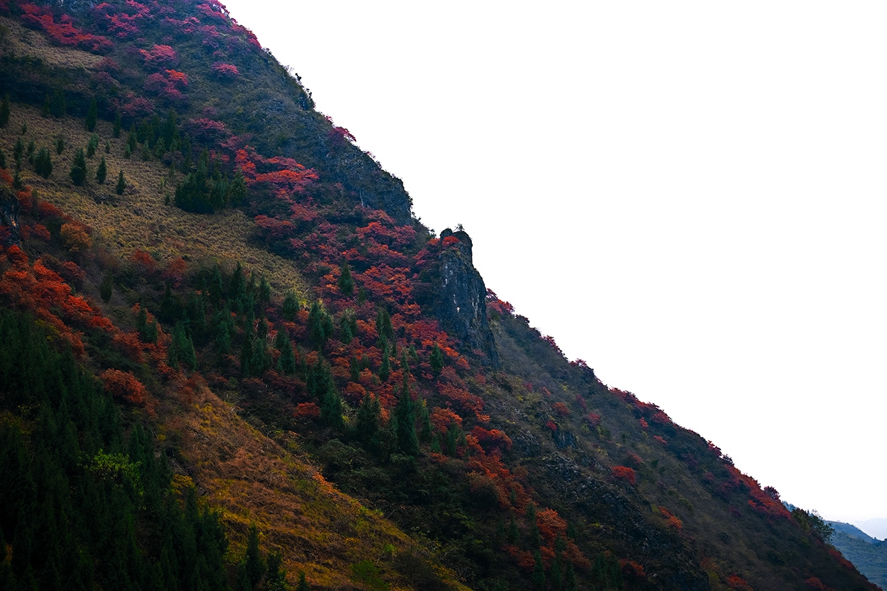 [X-E3] 一個半月使用感想 + 鳳凰古城 & 巫山紅葉 遊記