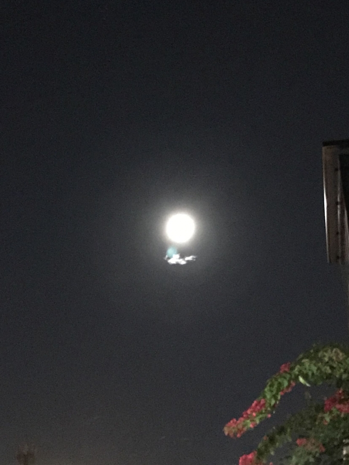 iphone7+夜間拍照有藍點