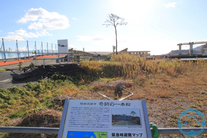 [遊記] 奇跡の一本松＆重建中的南三陸町志津川