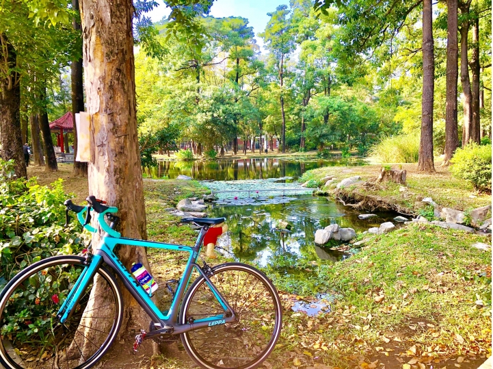 12/29忘憂清水一把青 屎在滾