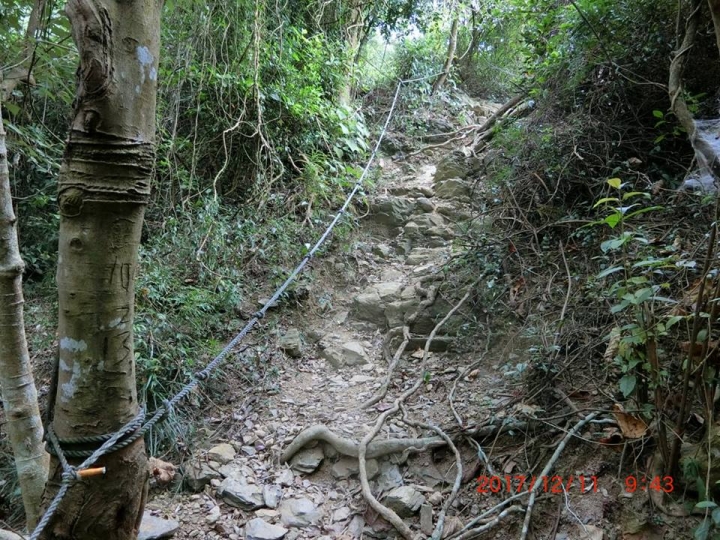 1061211 棚集山(#78)環線登山健行
