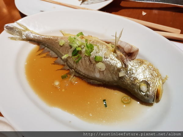 澳門君悅 mezza9 與廚共饗 龍蝦海鮮自選料理 自助晚餐
