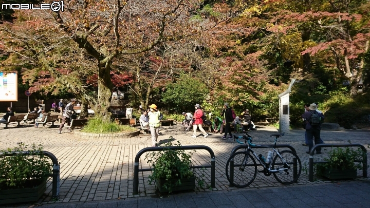 一生中有幾次可以說走就走的海外單車旅遊→富士五湖