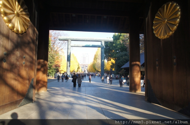 【玩】日本 東京/九段下 靖國神社2017銀杏景點