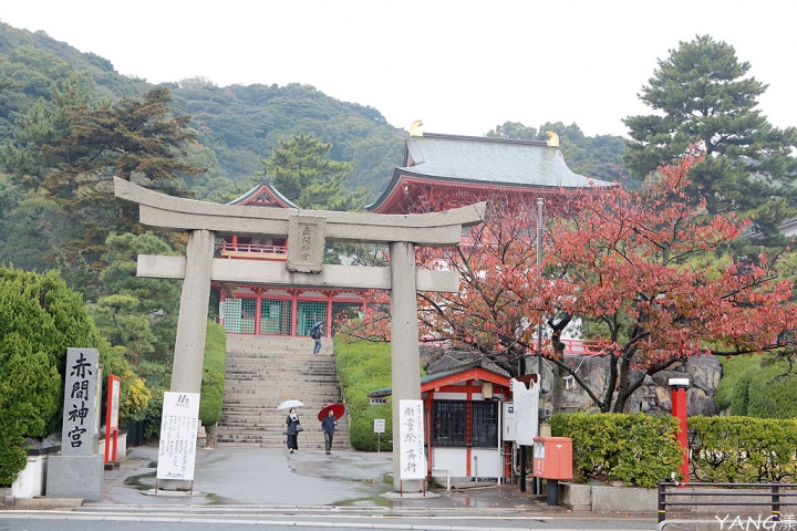 持JR山陽&山陰&北部九州地區鐵路周遊券,7日間走訪日本6縣(圖多)
