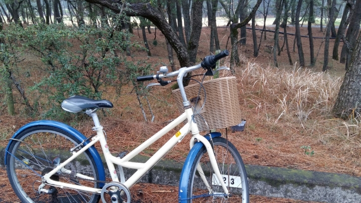 南九州親子遊:宮崎平和台公園