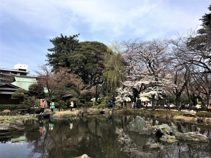 ＜日本＞2017全家人的日本行DAY8~靖國神社賞櫻