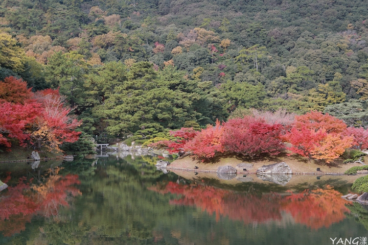 持JR山陽&山陰&北部九州地區鐵路周遊券,7日間走訪日本6縣(圖多)