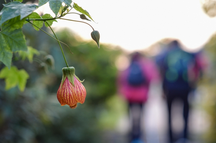 [亂開箱] Nikon 105mm F2D DC (Nikon Df 實拍)