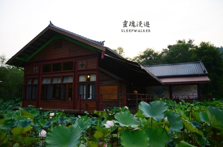 ［南投埔里。景點］桃米生態村－坐落在清幽聚落的日本紙教堂｜搭公車遊南投Day2