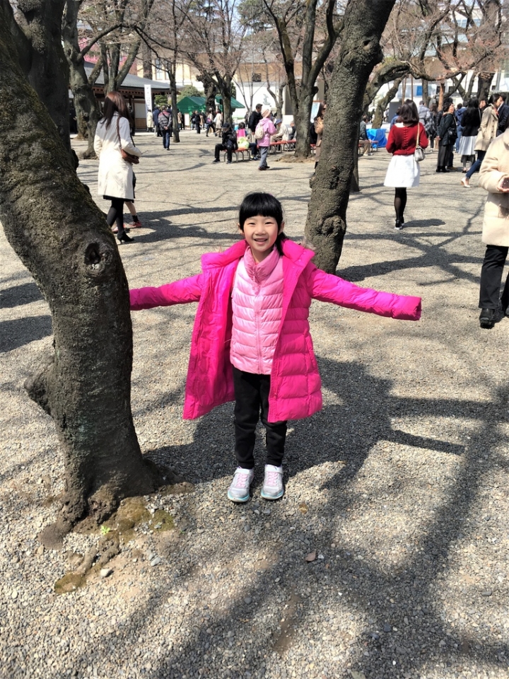 ＜日本＞2017全家人的日本行DAY8~靖國神社賞櫻