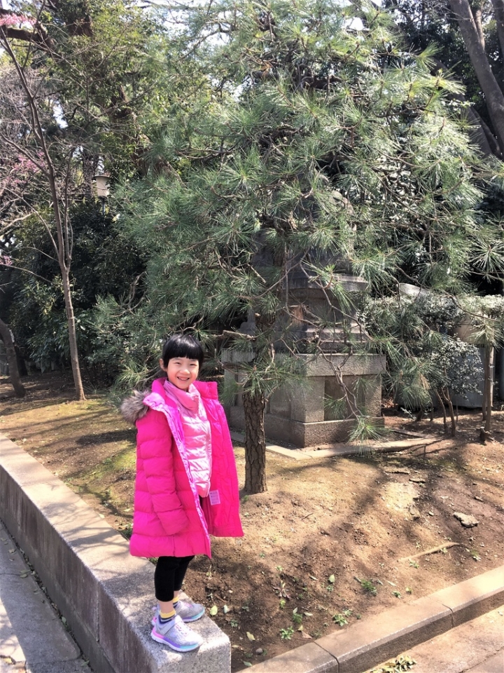 ＜日本＞2017全家人的日本行DAY8~靖國神社賞櫻