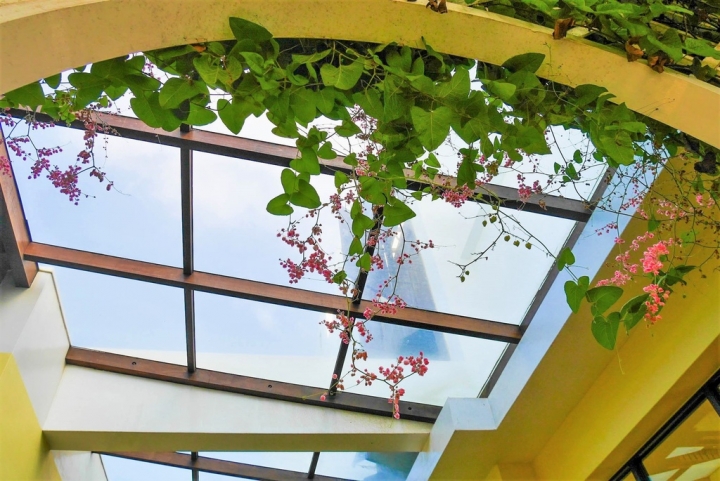 【澎湖白沙鄉 | 咖啡廳】交織著彩虹光影的美麗與寧靜ღ半日閑下午茶Leisure Time Cafe