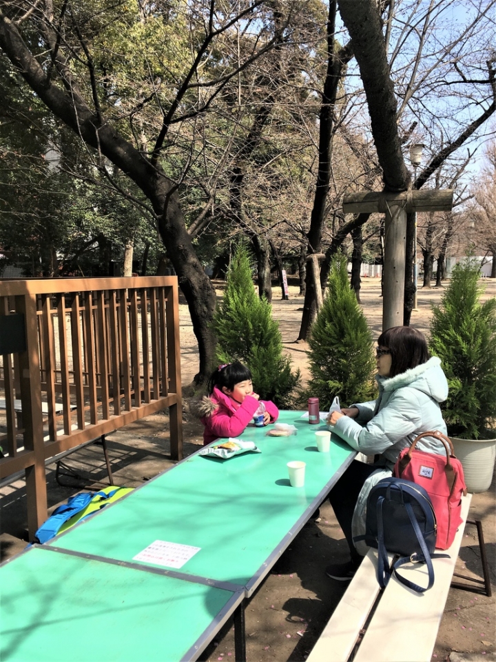 ＜日本＞2017全家人的日本行DAY8~靖國神社賞櫻