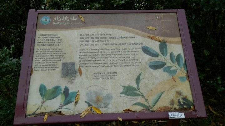 [台中]東洗水山&北坑山&二本松山步道~~~之好遠好遠......趴吐