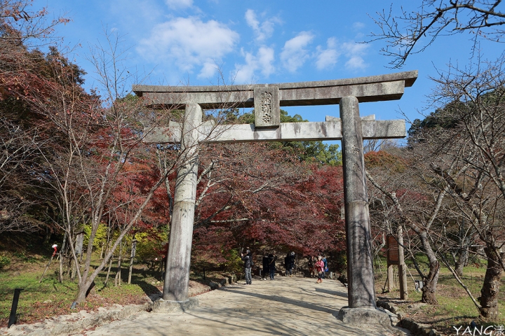 持JR山陽&山陰&北部九州地區鐵路周遊券,7日間走訪日本6縣(圖多)