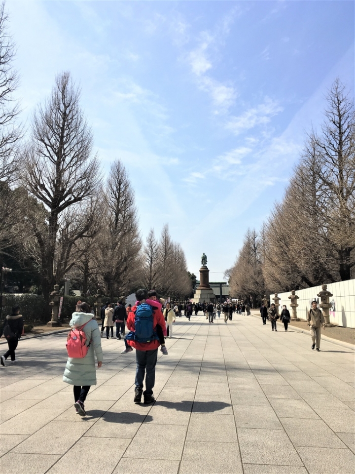 ＜日本＞2017全家人的日本行DAY8~靖國神社賞櫻