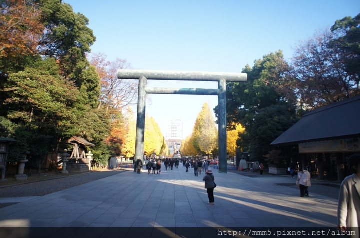 【玩】日本 東京/九段下 靖國神社2017銀杏景點