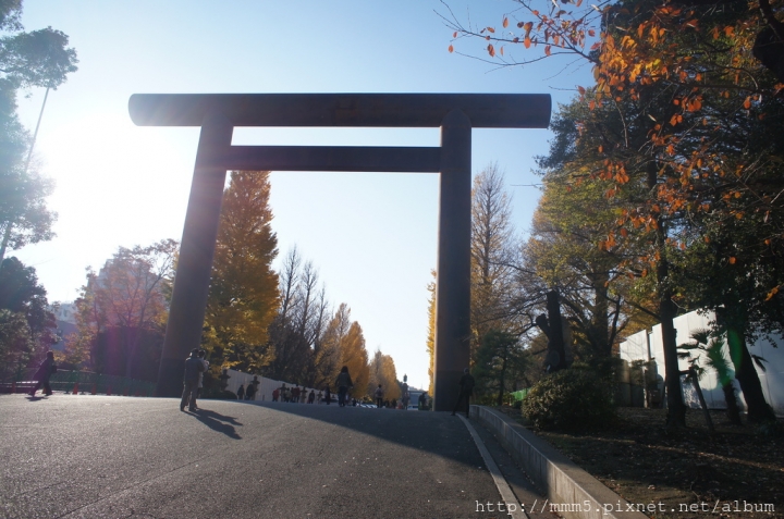 【玩】日本 東京/九段下 靖國神社2017銀杏景點