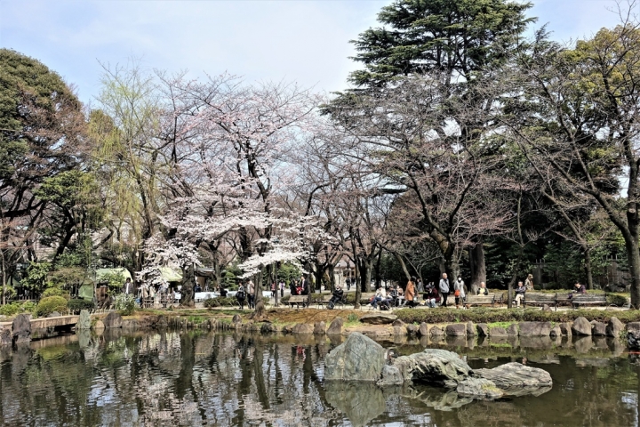 ＜日本＞2017全家人的日本行DAY8~靖國神社賞櫻