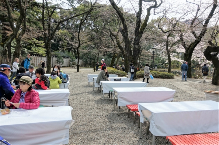＜日本＞2017全家人的日本行DAY8~靖國神社賞櫻