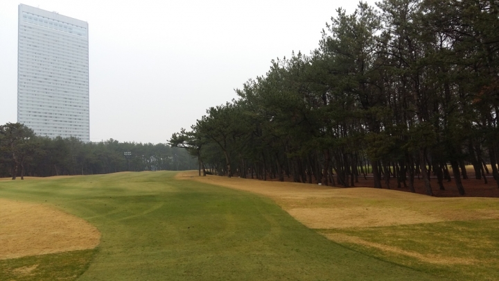 南九州親子遊:宮崎平和台公園