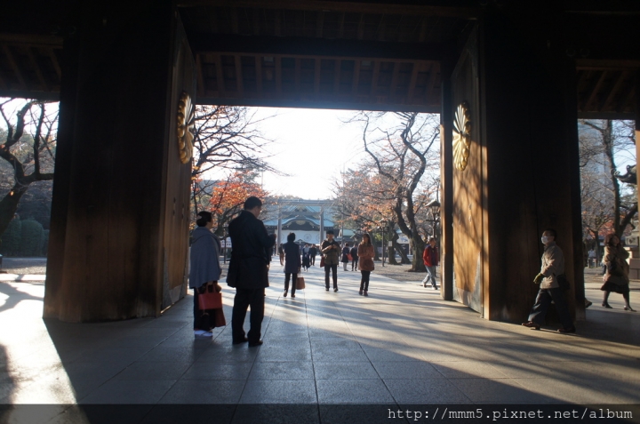 【玩】日本 東京/九段下 靖國神社2017銀杏景點