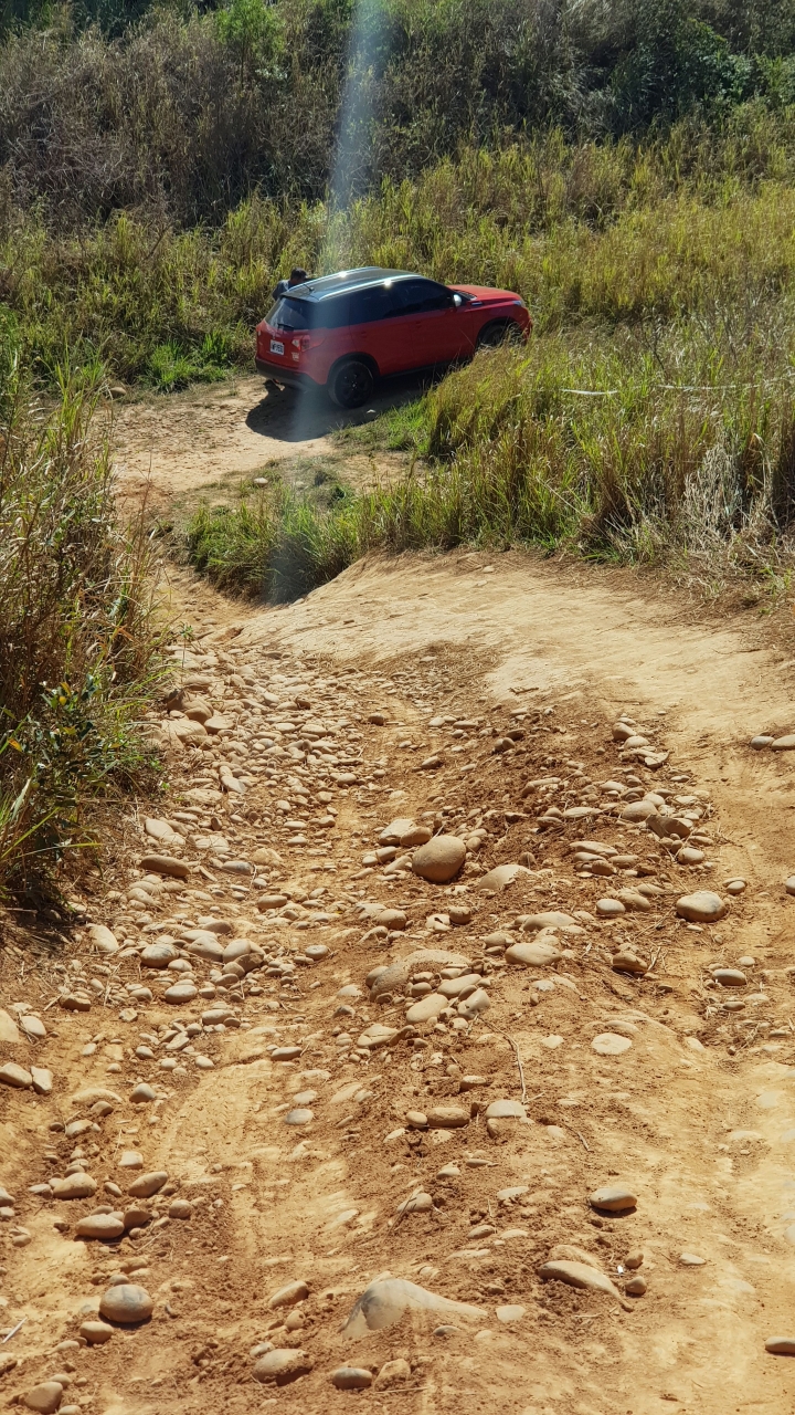 vitara 出現在大肚山
