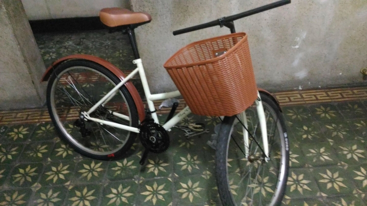 買菜淑女車大變身~~