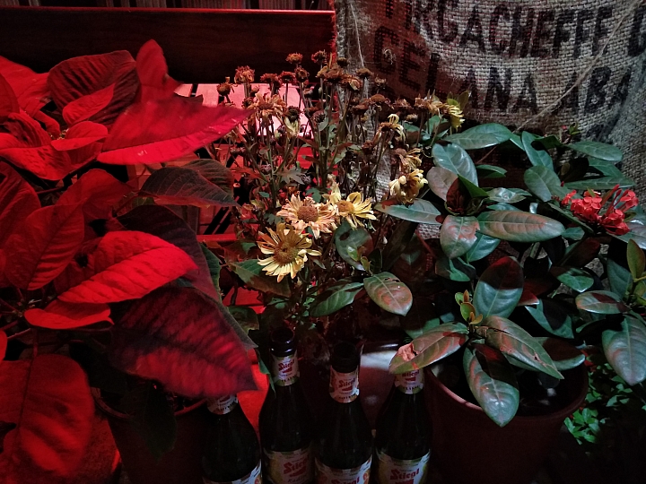 紅米5小試 不負高CP值的期望（而且還好一點）