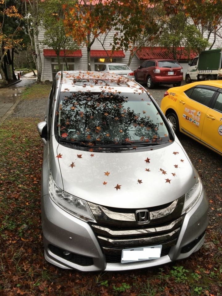 Honda Odyssey 排氣管異音