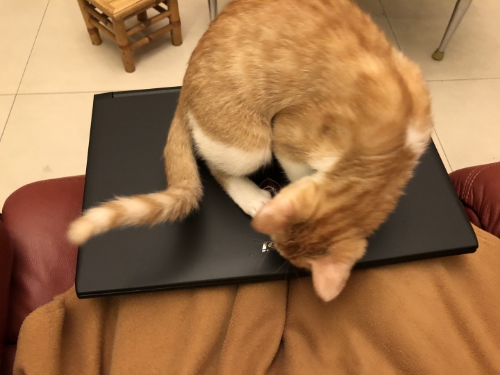 CP值最高的吃雞筆電 MSI GL62 (寵物圖多:P)